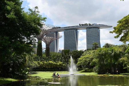 Singapore to transform into greener city within 10 years