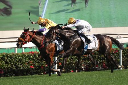 Golden Sixty lands HK Derby