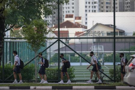 Streets and schools are busy again as Singapore reopens