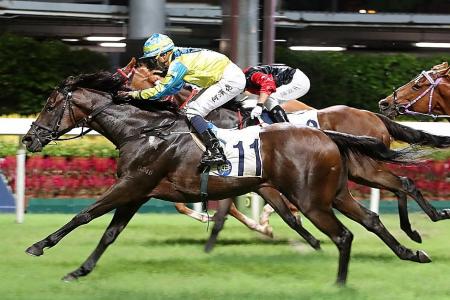 Ricky Yiu holds 5-win lead in trainers' battle