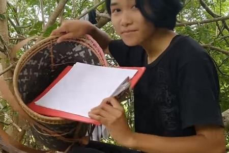 Malaysian teen stays in tree for exams because of poor Internet
