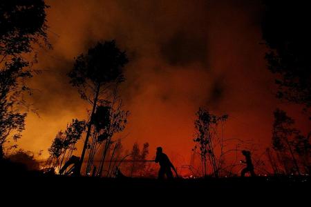 Central Kalimantan declares state of emergency over forest fires