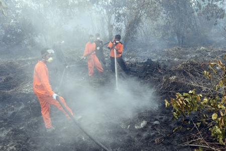 Riau, South Sumatra issue alert for fires ahead of dry season peak 