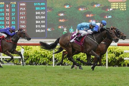 Top Knight rules the Singapore Derby