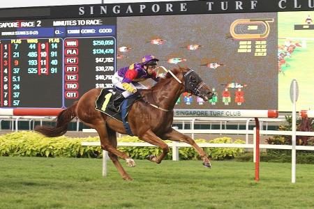 King Zoustar set to rule again