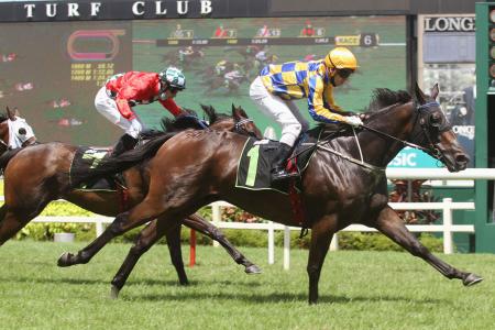 Freedman-trained trio on their toes