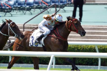 Wishful Thinker can now wish for victory in December&#039;s rich Hong Kong Sprint