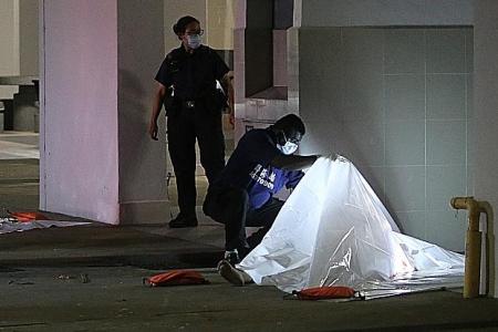 Woman, 35, and five-week-old baby found dead at foot of Bedok block