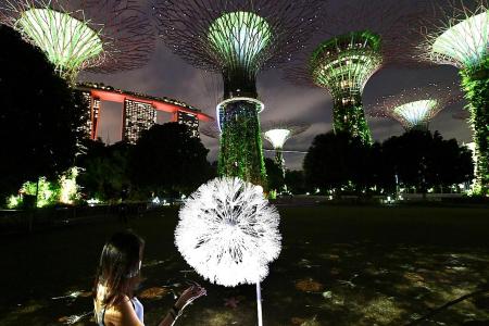 Be blown away by Dandelion at Gardens by the Bay