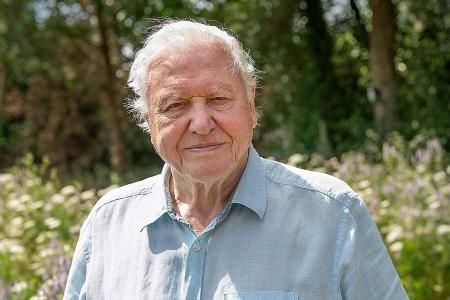 Attenborough on climate fight: Singapore has educated, powerful voice
