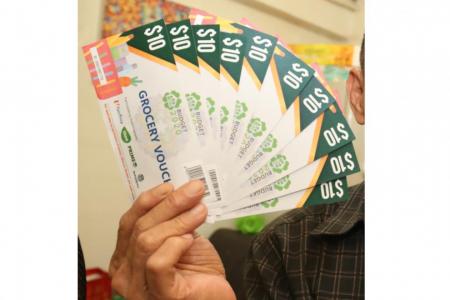 Man jailed for stealing Budget 2020 grocery vouchers from letter boxes
