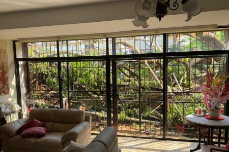Woman, 84, gets home just after tree falls on condo unit