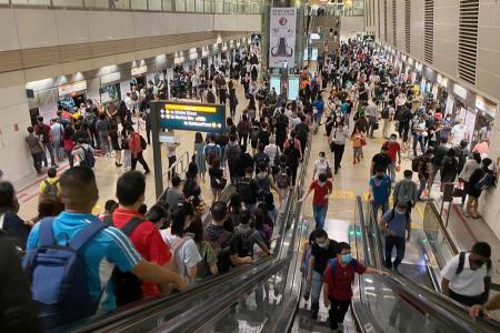 Software issue causes train disruption on North-South Line 