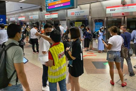 Software issue causes train disruption on North-South Line 