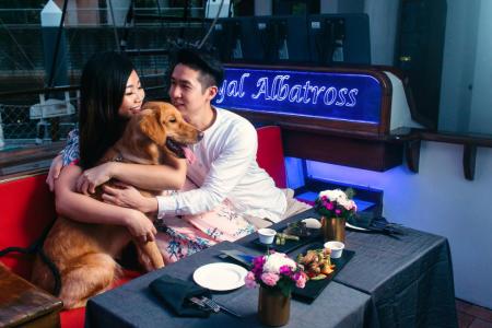 Every dog has its day on board world's first dog cruise in Singapore