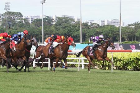 Yesterday’s gallops by horses engaged at Kranji on Saturday