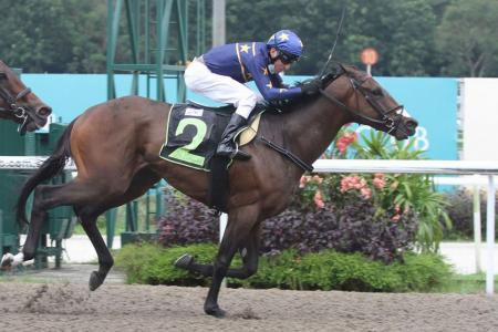 Yesterday’s gallops by horses engaged at Kranji on Saturday 