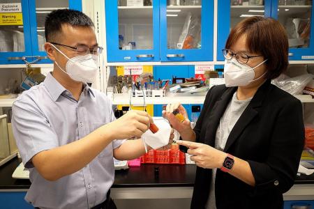 NTU team’s reusable mask can filter 99.9% of bacteria, viruses