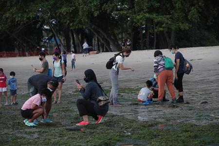 Beachgoers reminded on etiquette during low tide in Changi Beach