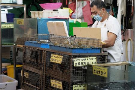 Sale and slaughter of live turtles and frogs at wet markets banned