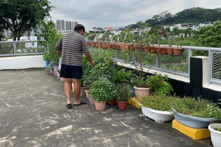Bukit Batok rooftop community garden allowed to stay