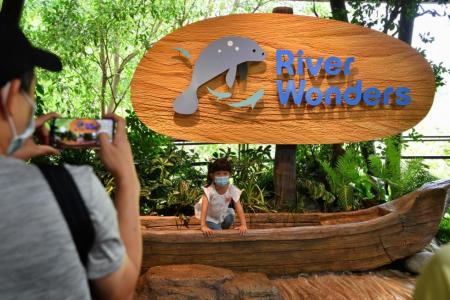 Opening of wildlife parks in Mandai delayed due to Covid-19