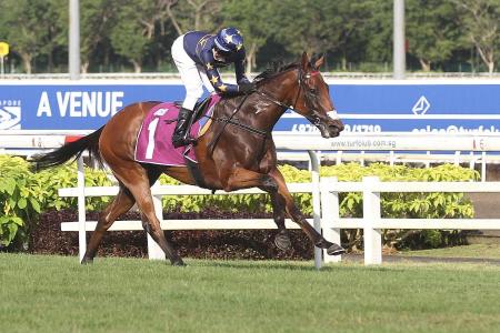 Lim’s Lightning set to strike in QEII Cup 