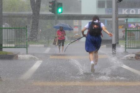 More thundery showers expected for next two weeks