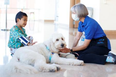 Ollie the dog helps US kids with vaccine hesitancy one jab at a time