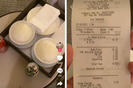 $18 for 2 bowls of rice at Marina Bay Sands, but no issue for guest who flaunts wealth on TikTok
