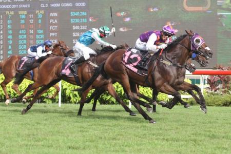 Yesterday&#039;s gallops by horses engaged at Kranji on Saturday