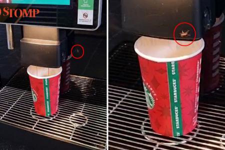 Woman horrified by cockroaches crawling out of Starbucks drinks machine at Bukit Batok CSC