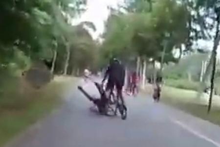 Cyclist collides into jogger along park connector