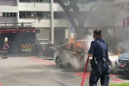 Driver dies in rental car blaze after crash in carpark
