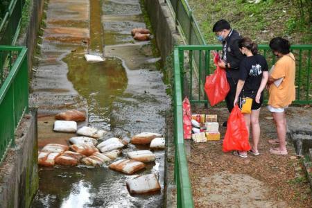Bodies of two brothers, 11, found in canal near Upper Bukit Timah playground, male suspect sought
