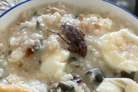 Horrified to find cockroach in porridge from Tampines outlet