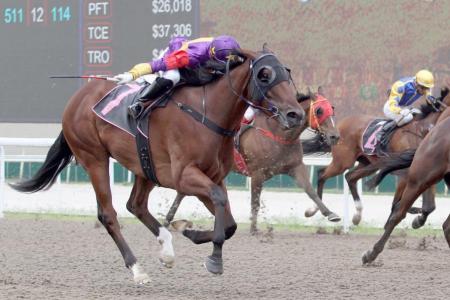 Lucky Jinsha shows signs of winning four in a row