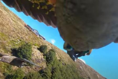 Better than drone footage: NZ hikers get real bird’s eye view