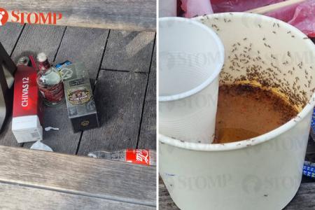 Weekly parties at rooftop garden, disgusting mess left behind