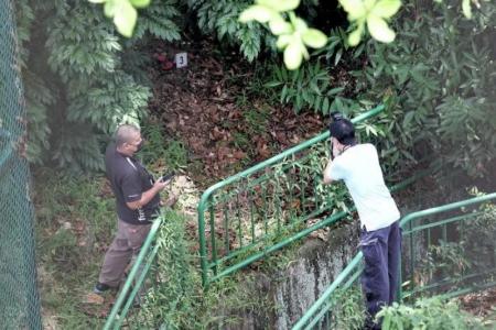 Cleaner finds man, 83, dead in the bushes along CTE in Ang Mo Kio