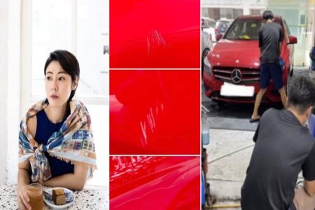 Cynthia Koh files police report after her Mercedes gets vandalised