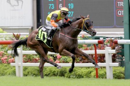 Double stokes up trainer's revival