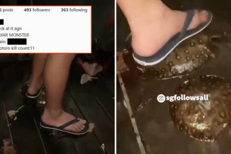 Boy squishes stingrays with his feet, boasts 'kill count' of 11