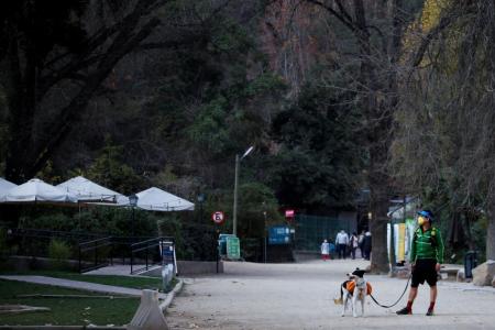Superhero dog takes on park garbage in Chile