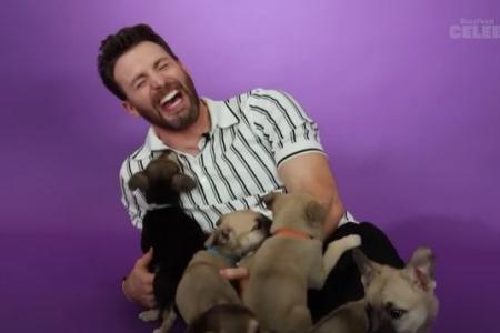 Watch out, video of Chris Evans and puppies ahead