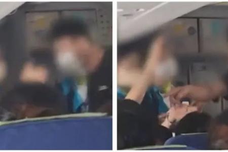 'Who said you could have a child?': Korean man berates woman over crying baby onboard flight