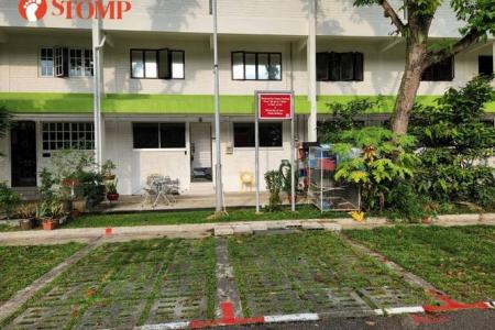 Yishun family want neighbour's chickens removed, town council taking 'compassionate approach'