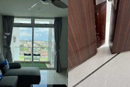 Singaporean finds Johor Bahru condo unit booked on Airbnb infested with insects