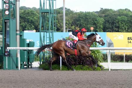 Ejaz, Renzo tune up nicely for thriller
