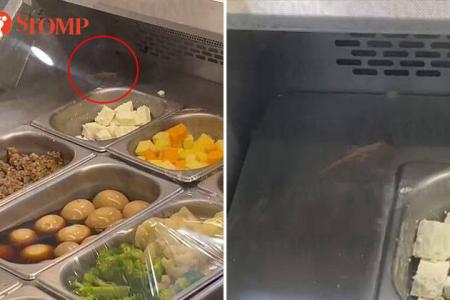 Yikes! There's a lizard on the salad bar in Cold Storage Claymore Connect